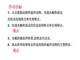 2023-2024学年八年级生物（人教版）上册同步课堂 5.1.1 腔肠动物和扁形动物（课件）
