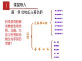 2023-2024学年八年级生物（人教版）上册同步课堂 5.1.1 腔肠动物和扁形动物（课件）