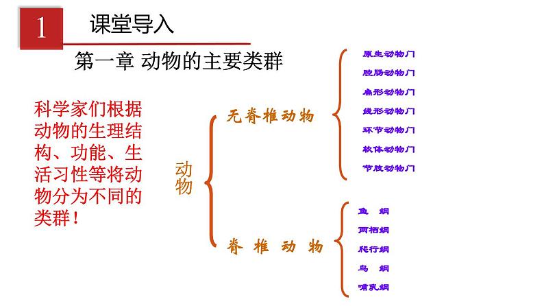 2023-2024学年八年级生物（人教版）上册同步课堂 5.1.1 腔肠动物和扁形动物（课件）第3页