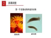 2023-2024学年八年级生物（人教版）上册同步课堂 5.1.1 腔肠动物和扁形动物（课件）