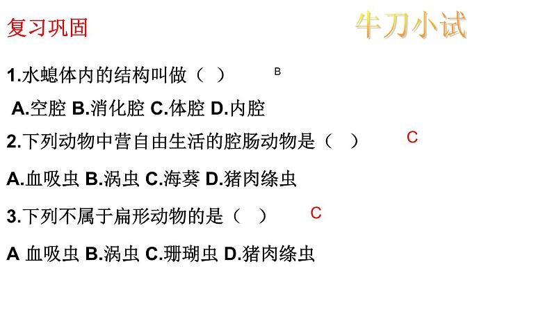 2023-2024学年八年级生物（人教版）上册同步课堂 5.1.2 线形动物和环节动物（课件）05