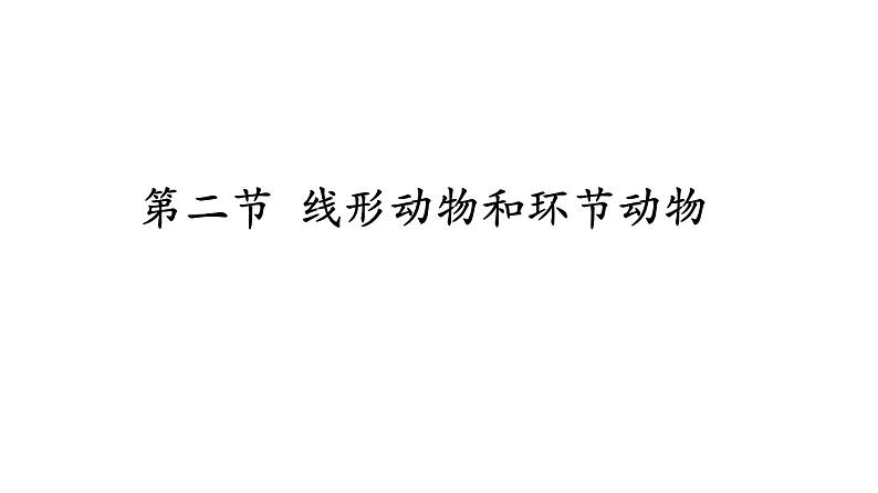 2023-2024学年八年级生物（人教版）上册同步课堂 5.1.2 线形动物和环节动物（课件）08