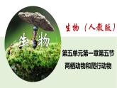 2023-2024学年八年级生物（人教版）上册同步课堂 5.1.5 两栖动物和爬行动物（课件）