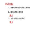 2023-2024学年八年级生物（人教版）上册同步课堂 5.1.5 两栖动物和爬行动物（课件）