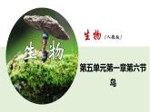 2023-2024学年八年级生物（人教版）上册同步课堂 5.1.6 鸟（课件）