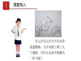 2023-2024学年八年级生物（人教版）上册同步课堂 5.1.6 鸟（课件）