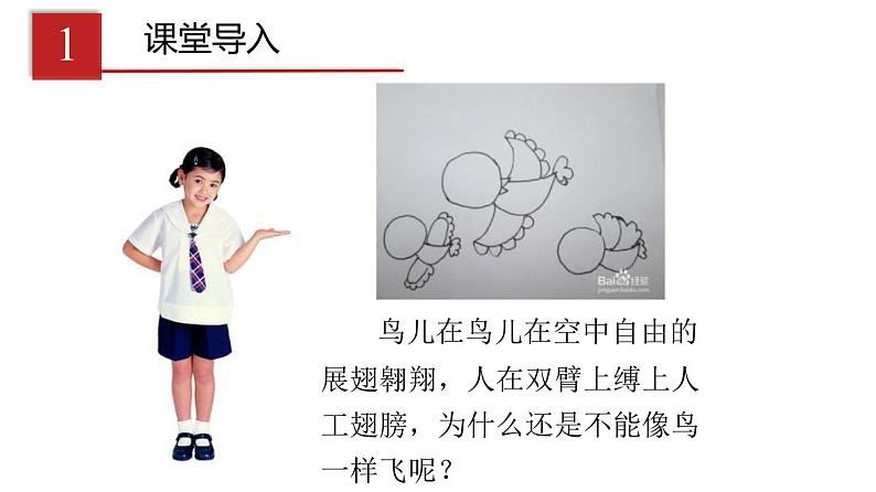 2023-2024学年八年级生物（人教版）上册同步课堂 5.1.6 鸟（课件）第3页