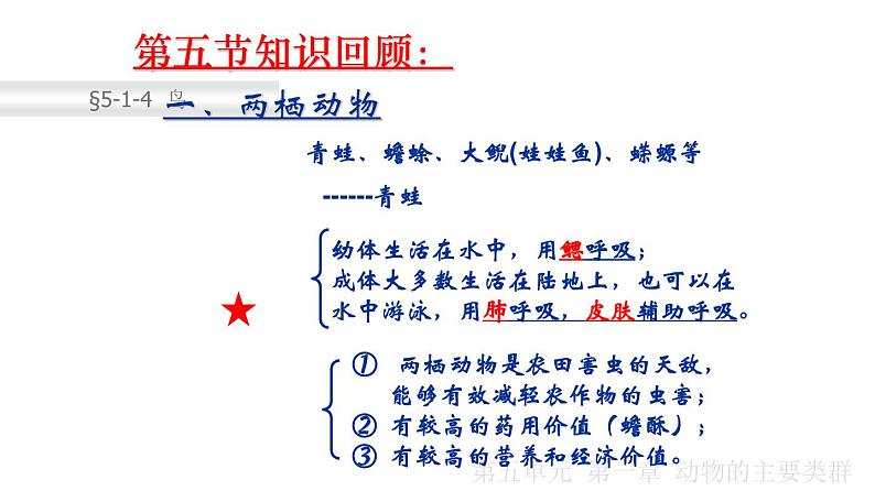 2023-2024学年八年级生物（人教版）上册同步课堂 5.1.6 鸟（课件）第5页