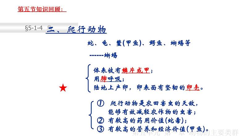 2023-2024学年八年级生物（人教版）上册同步课堂 5.1.6 鸟（课件）第6页