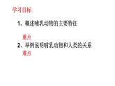 2023-2024学年八年级生物（人教版）上册同步课堂 5.1.7 哺乳动物（课件）