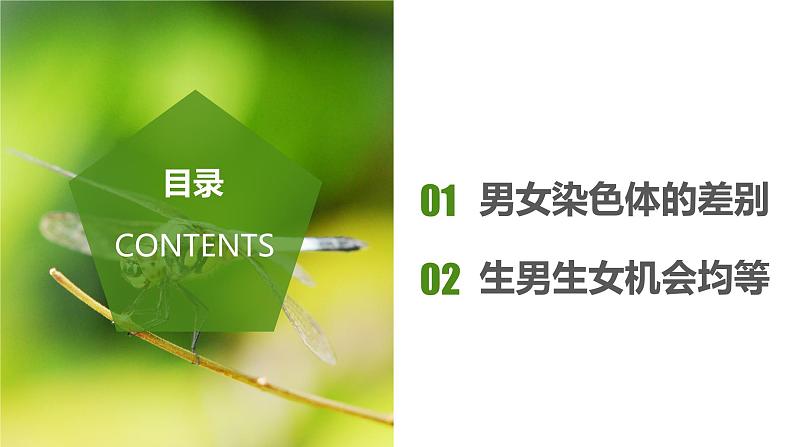 2023-2024学年八年级生物（人教版）下册同步备课系列 7.2.4 人的性别遗传（教学课件）第2页