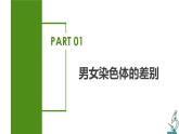 2023-2024学年八年级生物（人教版）下册同步备课系列 7.2.4 人的性别遗传（教学课件）