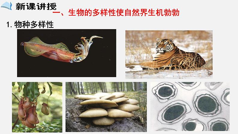 2023-2024学年七年级生物（北师大版）上册备课无忧 1.1.1 形形色色的生物（课件）03