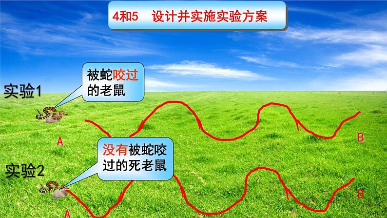 2023-2024学年七年级生物（北师大版）上册备课无忧 1.2.2 生物学研究的基本方法（课件）第4页