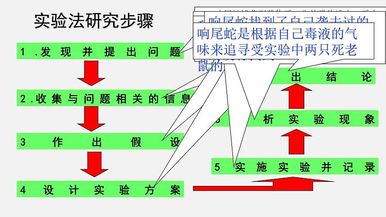 2023-2024学年七年级生物（北师大版）上册备课无忧 1.2.2 生物学研究的基本方法（课件）第6页