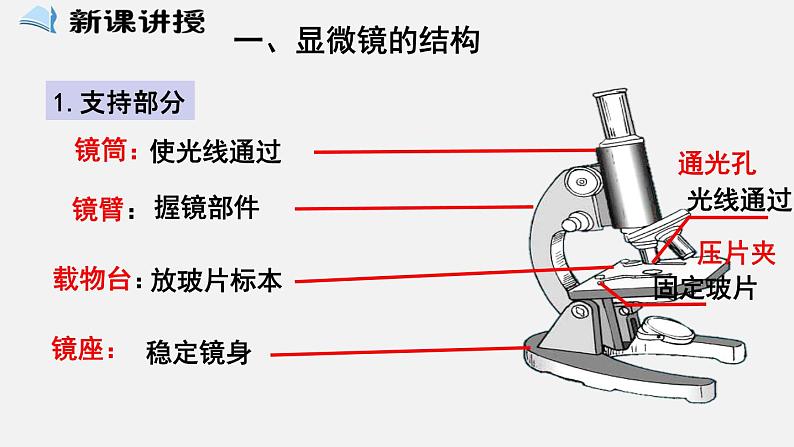 2023-2024学年七年级生物（北师大版）上册备课无忧 2.3.1 细胞的基本结构和功能——显微镜（课件）第2页