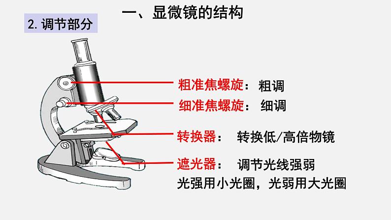 2023-2024学年七年级生物（北师大版）上册备课无忧 2.3.1 细胞的基本结构和功能——显微镜（课件）第3页