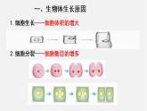 2023-2024學(xué)年七年級生物（北師大版）上冊備課無憂 2.3.3 細(xì)胞通過分裂而增殖（課件）