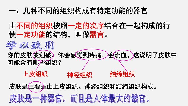 2023-2024学年七年级生物（北师大版）上册备课无忧 2.4.2 生物体的器官、系统（课件）05