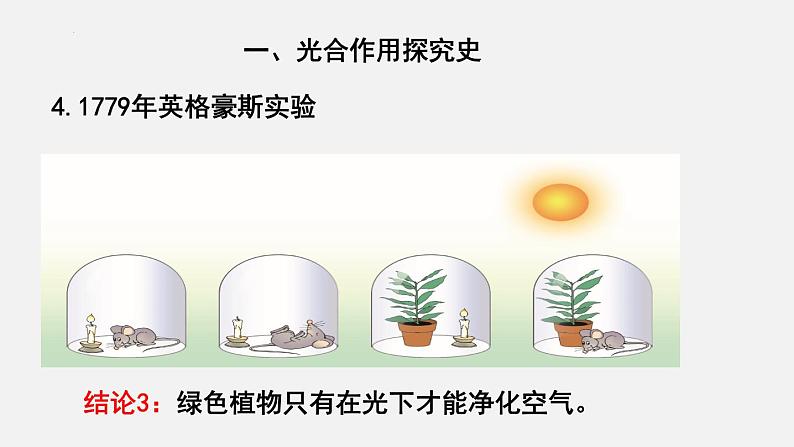 2023-2024学年七年级生物（北师大版）上册备课无忧 3.5.1 光合作用—光合作用的探究（课件）第7页