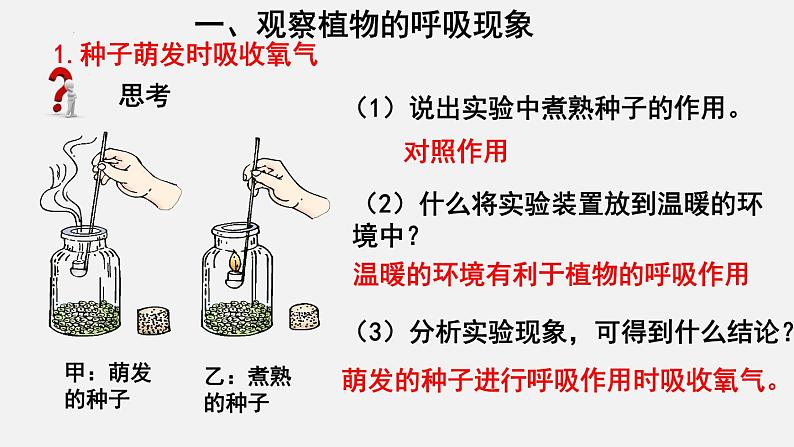 2023-2024学年七年级生物（北师大版）上册备课无忧 3.5.2 呼吸作用（课件）第5页