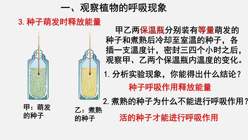 2023-2024学年七年级生物（北师大版）上册备课无忧 3.5.2 呼吸作用（课件）第7页