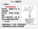 2023-2024学年七年级生物（北师大版）上册备课无忧 3.5.5 运输作用（课件）