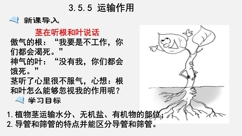 2023-2024学年七年级生物（北师大版）上册备课无忧 3.5.5 运输作用（课件）第1页