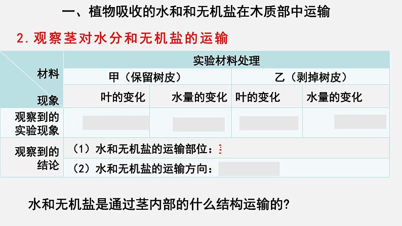 2023-2024学年七年级生物（北师大版）上册备课无忧 3.5.5 运输作用（课件）第4页