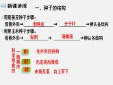 2023-2024学年七年级生物（北师大版）上册备课无忧 3.6.1 种子萌发形成幼苗（课件）