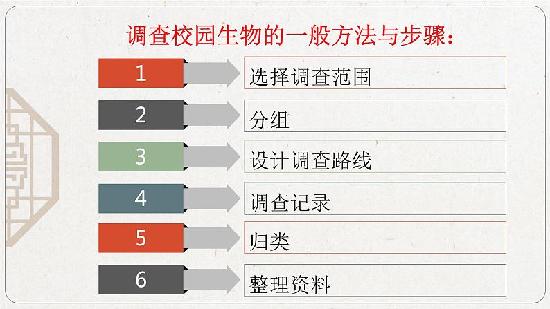 2023-2024学年七年级生物（人教版）上册名师精讲课件 1.1.2 调查周边环境中的生物07