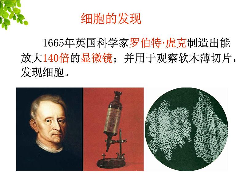 2023-2024学年七年级生物（人教版）上册名师精讲课件 2.1.1 练习使用显微镜02