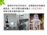 2023-2024学年七年级生物（人教版）上册名师精讲课件 2.1.1 练习使用显微镜
