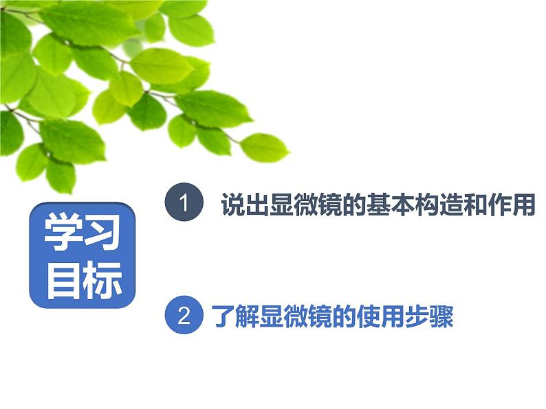 2023-2024学年七年级生物（人教版）上册名师精讲课件 2.1.1 练习使用显微镜06