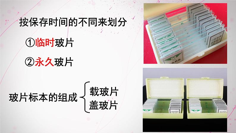 2023-2024学年七年级生物（人教版）上册名师精讲课件 2.1.2 植物细胞第6页