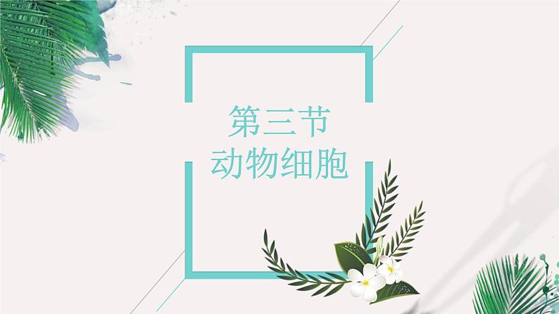 2023-2024学年七年级生物（人教版）上册名师精讲课件 2.1.3 动物细胞03