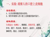 2023-2024学年七年级生物（人教版）上册名师精讲课件 2.1.3 动物细胞