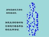 2023-2024学年七年级生物（人教版）上册名师精讲课件 2.1.4 细胞的生活
