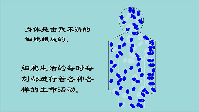 2023-2024学年七年级生物（人教版）上册名师精讲课件 2.1.4 细胞的生活第1页