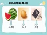 2023-2024学年七年级生物（人教版）上册名师精讲课件 2.1.4 细胞的生活