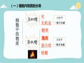 2023-2024学年七年级生物（人教版）上册名师精讲课件 2.1.4 细胞的生活