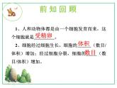2023-2024学年七年级生物（人教版）上册名师精讲课件 2.2.2 动物体的结构层次