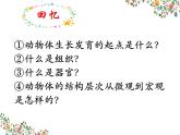 2023-2024学年七年级生物（人教版）上册名师精讲课件 2.2.3 植物体的结构层次