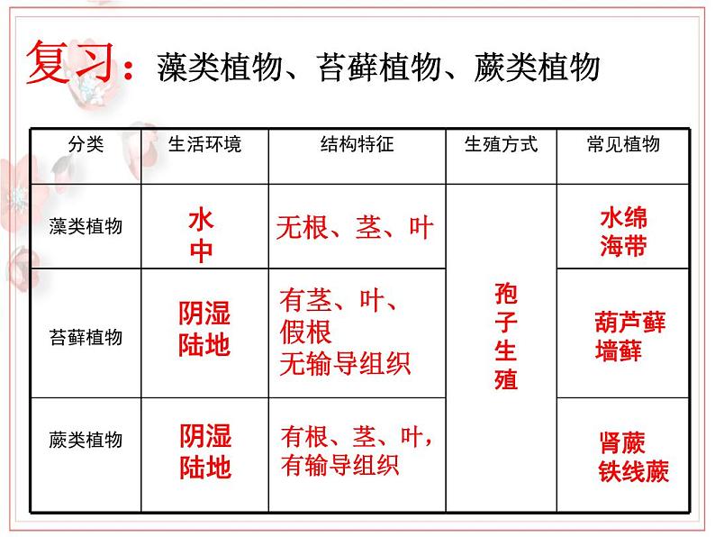 2023-2024学年七年级生物（人教版）上册名师精讲课件 3.1.2 种子植物01