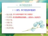 2023-2024学年七年级生物（人教版）上册名师精讲课件 3.2.1 种子的萌发