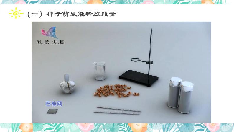 2023-2024学年七年级生物（人教版）上册名师精讲课件 3.5.2 绿色植物的呼吸作用第4页