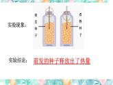 2023-2024学年七年级生物（人教版）上册名师精讲课件 3.5.2 绿色植物的呼吸作用