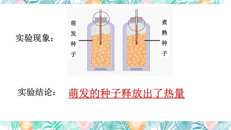 2023-2024学年七年级生物（人教版）上册名师精讲课件 3.5.2 绿色植物的呼吸作用第5页