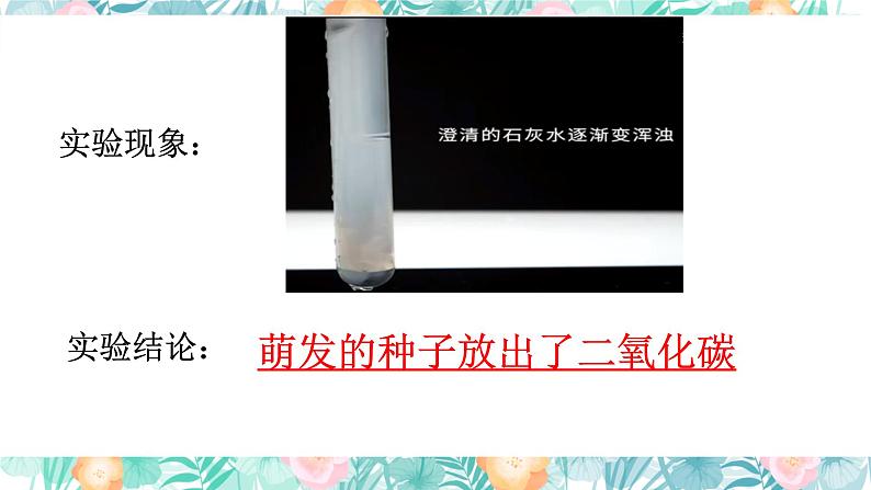 2023-2024学年七年级生物（人教版）上册名师精讲课件 3.5.2 绿色植物的呼吸作用第7页