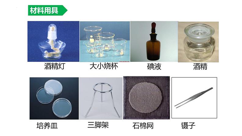 2023-2024学年七年级生物（人教版）上册同步备课系列 3.4 绿色植物是生物圈中有机物的制造者(第1课时)（教学课件）第8页